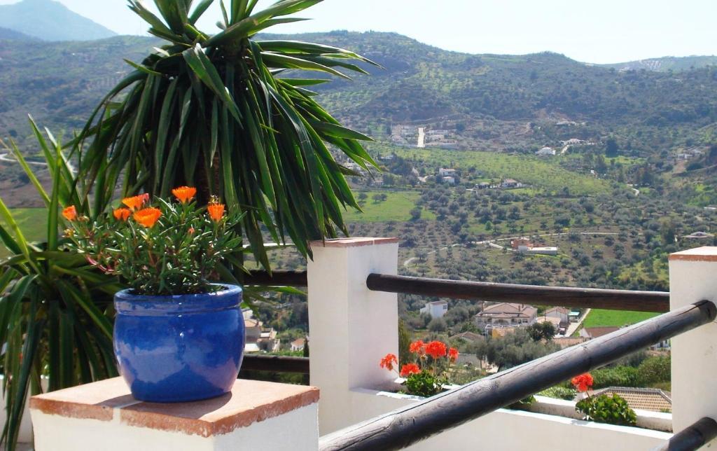 Hotel Cortijo De Salia Alcaucín Exterior photo