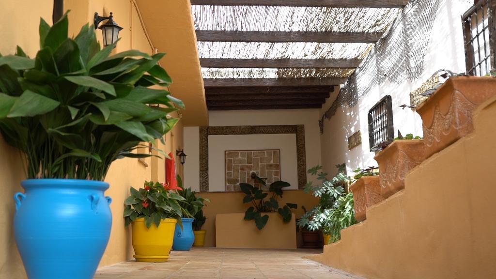 Hotel Cortijo De Salia Alcaucín Exterior photo